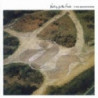 WAITING FOR THE FLOODS - EXPANDED EDITIO
