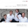 TRIO PER PIANOFORTE E ARCHI N.2 OP.80, Q