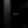 HIDDEN SCARS