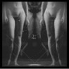 NUMERI E FIGURE