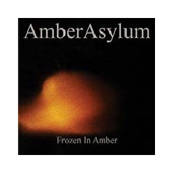 FROZEN IN AMBER