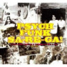 PSYCH FUNK SA-RE-GA! - FUNKY FUZZY PSYCH