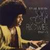 I'M JUST LIKE YOU: SLY'S STONE FLOWER 19