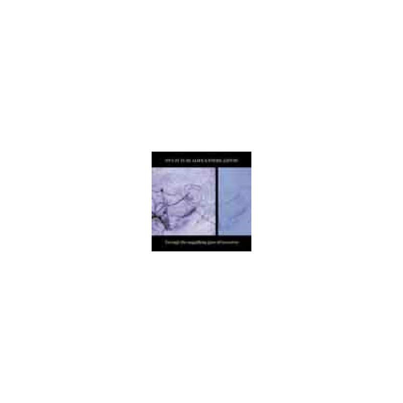 THROUGH THE MAGNIFYING GLASS OF TOMORROW