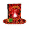 CHILE ON HELL  (DVD+2CD)