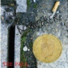 REMAINDERER EP