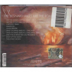 BESNARD LAKES ARE THE ROARING NIGHT