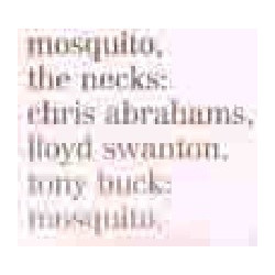 MOSQUITO/SEE THROUGH