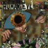 HUMAN EYE