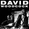 DAVID WOODCOCK