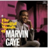 THE SOULFUL MOODS OF MARVIN GAYE [LP]