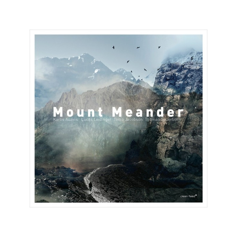 MOUNT MEANDER