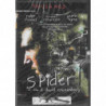 SPIDER FILM