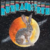 RUN RABBIT RUN