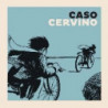 CERVINO