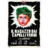 RAGAZZO DAI CAPELLI VERDI (IL)