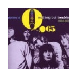 NOTHING BUT TROUBLE ~ THE...