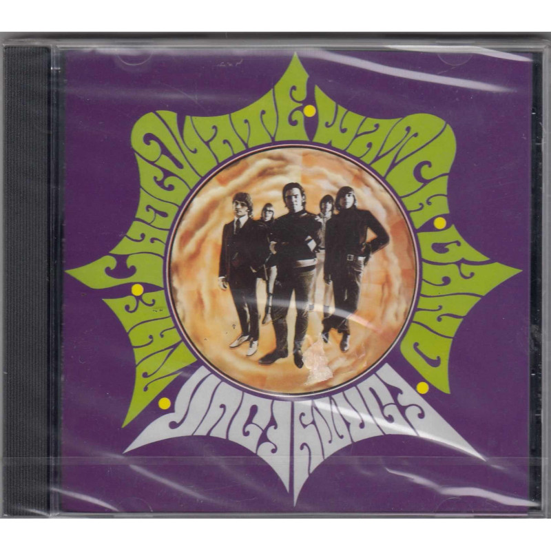 44 - CHOCOLATE WATCH BAND