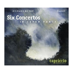 SEI CONCERTI IN SETTE PARTI...