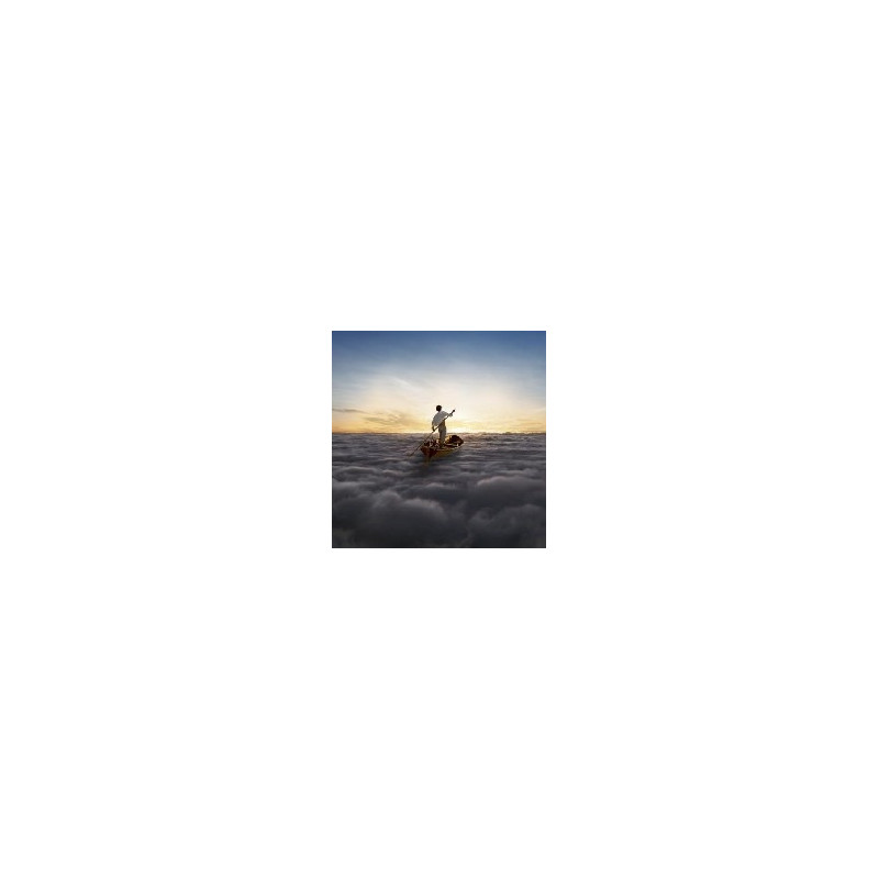 THE ENDLESS RIVER  (2LP)