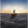 THE ENDLESS RIVER  (2LP)