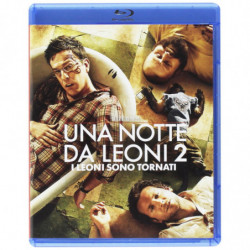 UNA NOTTE DA LEONI 2 (2011)