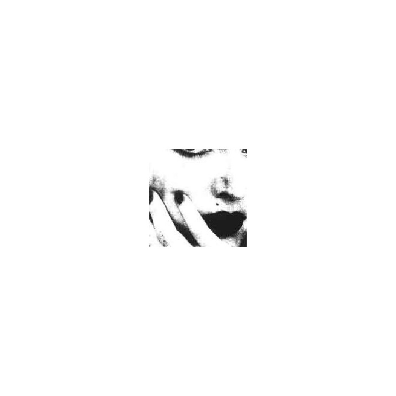 WHITEY ALBUM