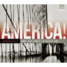 AMERICA! VOL.3 - FROM MODERN TO POP ART