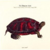 SONG FOR TRACY THE TURTLE - LIVE IN BRUG