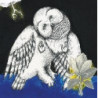 MAGNOLIA ELECTRIC CO. (DELUXE REISSUE)