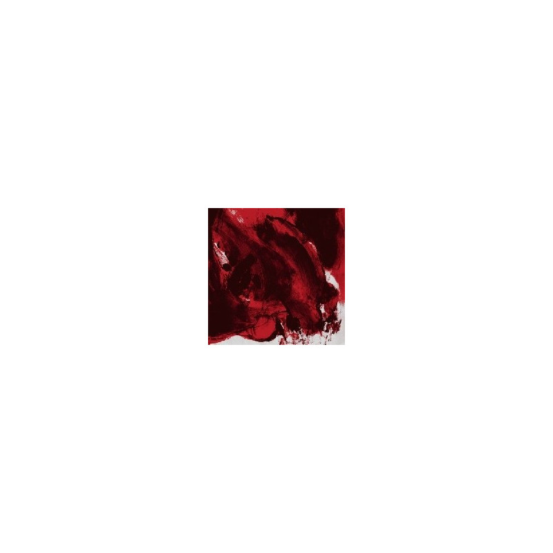 CARVED INTO ROSES/INFINITYLAND/SINGLES