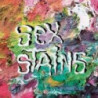 SEX STAINS
