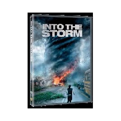 INTO THE STORM (DS)