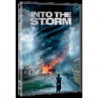 INTO THE STORM (DS)