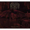 KINGS OF CHAOS