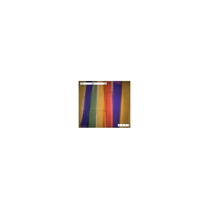 FORM