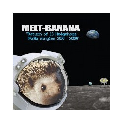 RETURN OF 13 HEDGEHOGS...