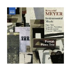 MUSICA STRUMENTALE -...