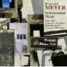 MUSICA STRUMENTALE - INSTRUMENTAL MUSIC