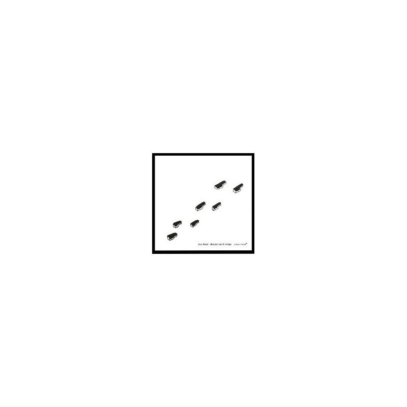 DES PAS SUR LA NEIGE