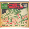GREEN BLADE RISING LIMITED