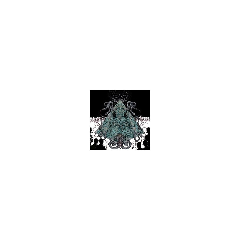 MIRRORS FOR PSYCHIC WARFARE