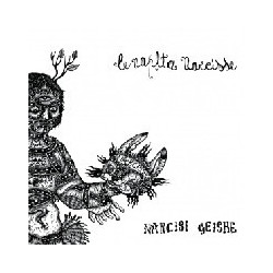 NARCISI GEISHE