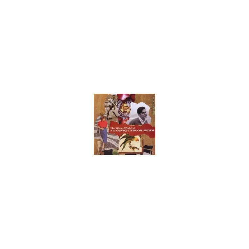 THE WARM WORLD OF ANTONI