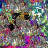 TRANSMUTING