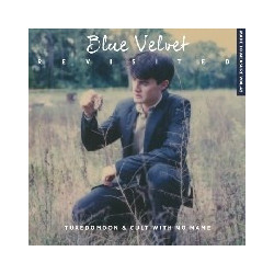 BLUE VELVET REVISITED