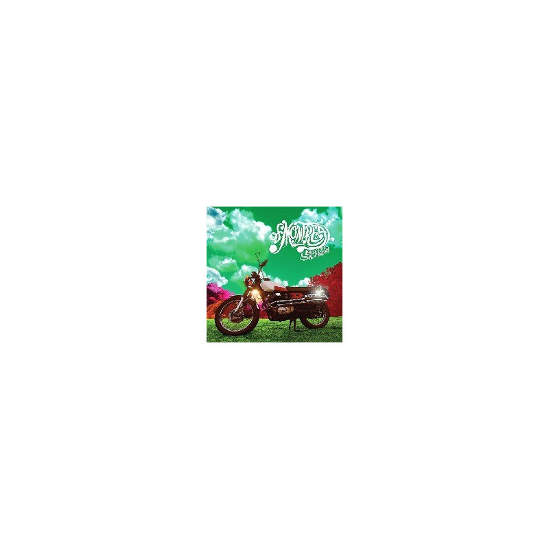 LOUSY WITH SYLVIANBRIAR