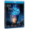 HARRY POTTER E IL CALICE DI FUOCO - EDIZIONE SPECIALE (BS)