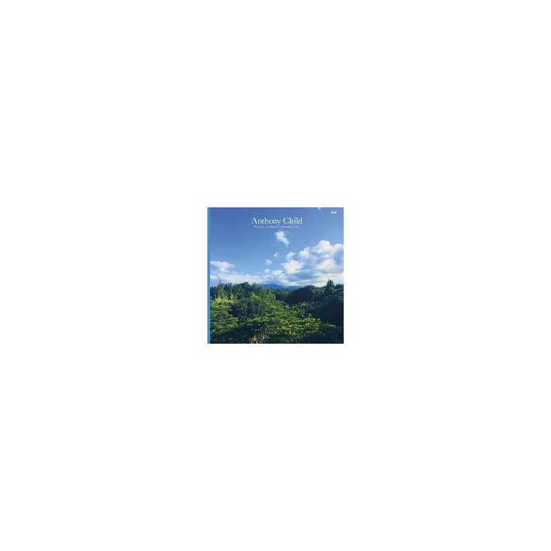 ELECTRONIC RECORDINGS FROM MAUI JUNGLE V