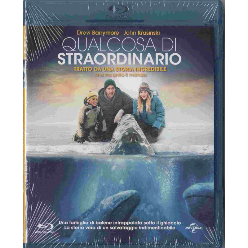 QUALCOSA DI STRAORDINARIO (USA 2011)